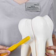 Этап Рентген зубов в Семейной стоматологии