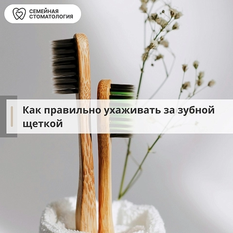 Как правильно ухаживать за зубной щеткой и как часто ее нужно менять